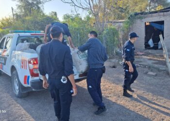 Golpe al robo rural: secuestran casi 40 bolsas de pasas de uva en una vivienda