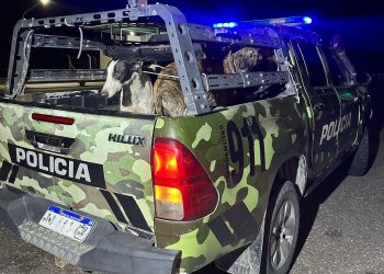 Perros, trampas y alcohol: los detalles del operativo contra cazadores en San Juan