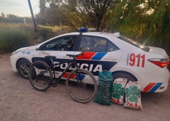 Del tomate al calabozo: atraparon a un joven con 75 kilos de tomates robados
