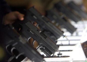 El Gobierno de Milei habilitó un trámite “exprés” para la tenencia de armas