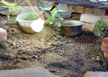 Allanaban por un robo y terminaron encontrando una plantación de marihuana