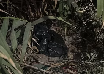 Los macabros detalles de la bebé muerta encontrada en la basura en Caucete