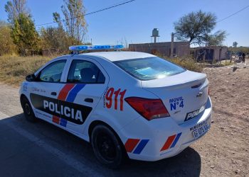 Emoción: policías ayudaron a una mujer a dar a luz mientras llegaba la ambulancia