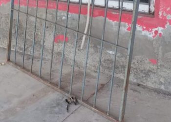 25 de Mayo: Una mujer encontró a un vecino, menor de edad, adentro de su casa