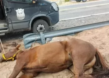 Condenan a prisión perpetua al policía que mató a un camionero en Valle Fértil