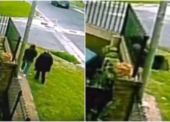 Una mujer cayó a un pozo y se salvó de milagro