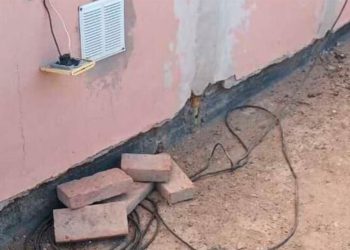 Una mujer electrocutó a un perro con un cable escondido en un pan