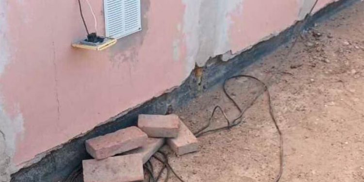 Una mujer electrocutó a un perro con un cable escondido en un pan