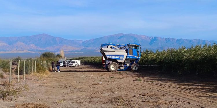 Tragedia en Sarmiento: lo atropelló su compañero con una cosechadora y murió
