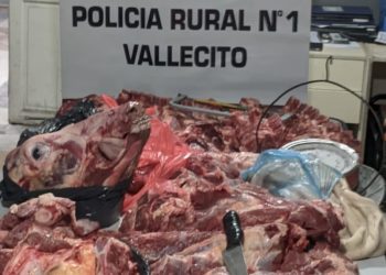 Carne ilegal, cuchillos y una balanza: el extraño cargamento secuestrado en Caucete