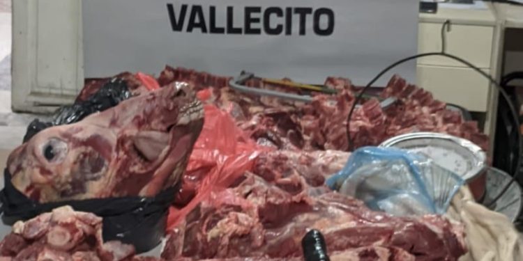 Carne ilegal, cuchillos y una balanza: el extraño cargamento secuestrado en Caucete