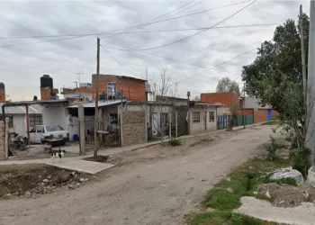 Un hombre decapitó a su madre con un hacha y luego pidió ayuda en una clínica