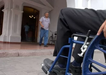 Pensiones No Contributivas: cómo saber si te toca la auditoría de ANSES