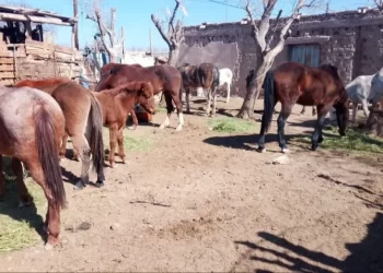 La Fiesta Nacional del Sol 2025 ya tiene fecha y entradas en venta anticipada