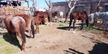 La Fiesta Nacional del Sol 2025 ya tiene fecha y entradas en venta anticipada