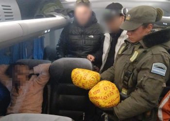 Encuentran marihuana y detienen a una mujer en la Ruta 40