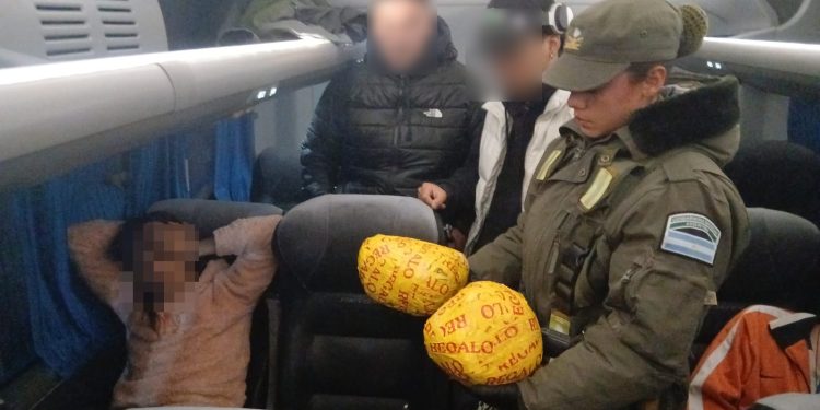 Encuentran marihuana y detienen a una mujer en la Ruta 40