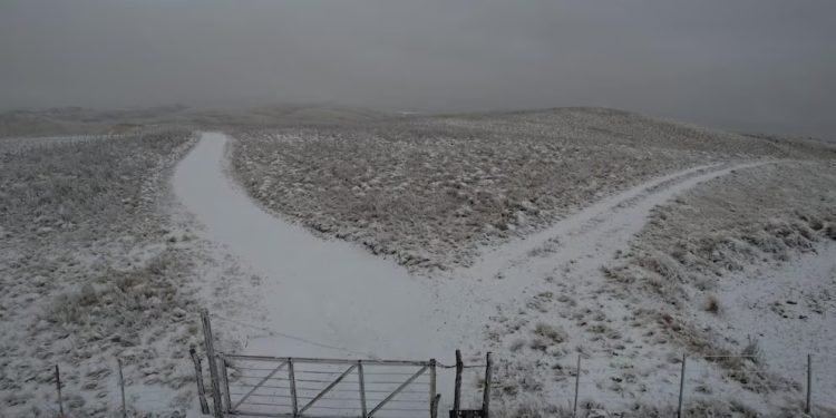 Argentina bajo cero: cuándo termina la ola de frío