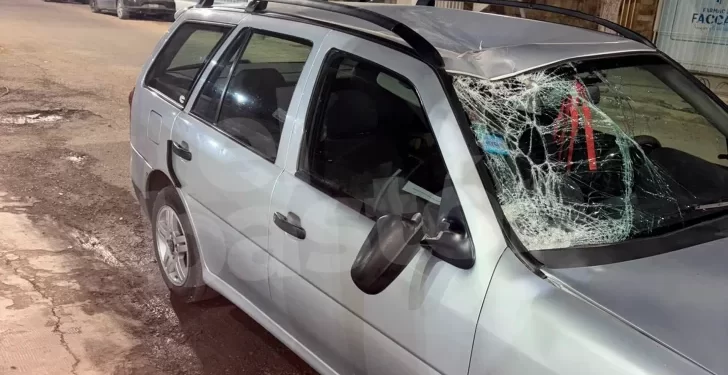 Nuevo accidente por animales sueltos: un auto chocó contra un caballo en Ruta 20