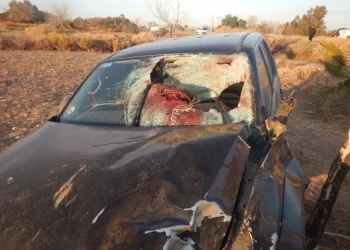 Dos camionetas chocaron contra caballos sueltos en Ruta 40: hay heridos