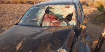 Dos camionetas chocaron contra caballos sueltos en Ruta 40: hay heridos