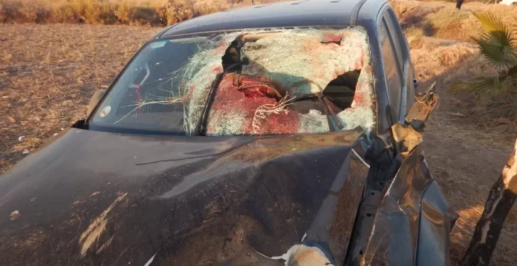 Dos camionetas chocaron contra caballos sueltos en Ruta 40: hay heridos