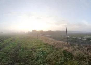 Hallaron muerto a un niño de 2 años en una quinta y sospechan del ataque de perros