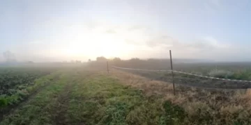 Hallaron muerto a un niño de 2 años en una quinta y sospechan del ataque de perros