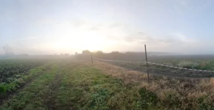 Hallaron muerto a un niño de 2 años en una quinta y sospechan del ataque de perros