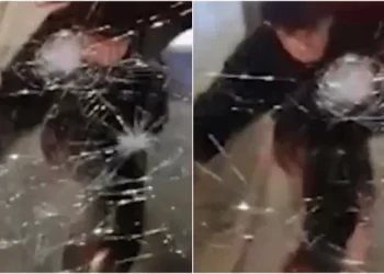 Se enojó con el chofer, bajó del auto, y le rompió los vidrios del colectivo