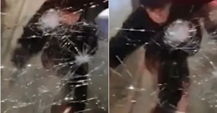 Se enojó con el chofer, bajó del auto, y le rompió los vidrios del colectivo