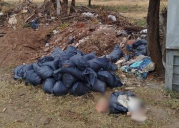 Macabro hallazgo: hallaron partes humanas en un descampado y hay misterio