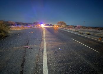 Ruta 20: Conocido comerciante chocó con animales sueltos y destrozó su camioneta