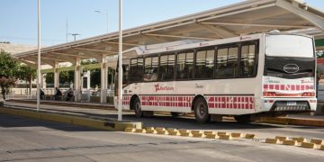 RedTulum conecta con la nueva sede de la Dirección de Discapacidad