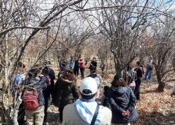 San Martín realizó una capacitación sobre poda e injerto