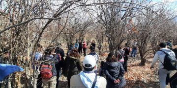 San Martín realizó una capacitación sobre poda e injerto