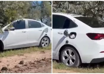 Identificaron a la pareja que encontraron muerta en un auto