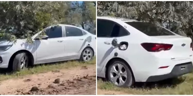 Identificaron a la pareja que encontraron muerta en un auto