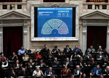 Diputados rechazó el veto de Milei a la Ley de Emergencia en Discapacidad: el voto de los sanjuaninos