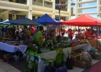 Realizan otra edición de la Feria Agroproductiva con productos frescos y sabor local