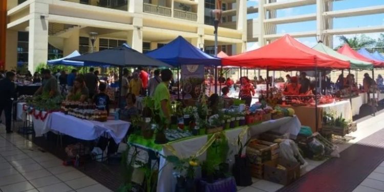 Realizan otra edición de la Feria Agroproductiva con productos frescos y sabor local