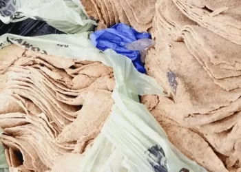 Embarazada comió milanesas de papel higiénico