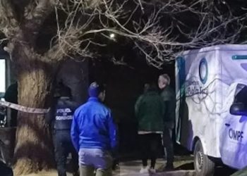 Horror: una mujer mató a puñaladas a su hijo de 14 años