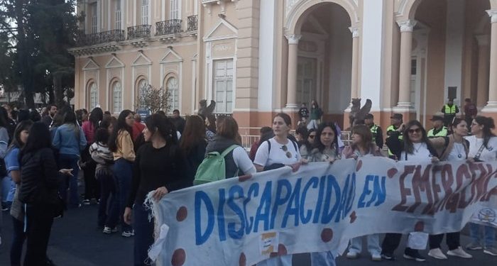Emergencia en Discapacidad: promulgan la ley, pero suspenden su aplicación