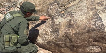 Patrullaban Calingasta y descubrieron piezas arqueológicas ocultas
