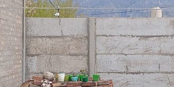 Condenado por abuso sexual hostiga a la víctima y a toda su familia