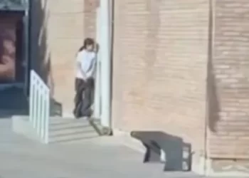 Una chica de 14 años armada está atrincherada en la escuela y hubo disparos