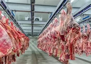 El Gobierno extendió la quita temporal de retenciones también a las carnes bovinas y avícolas