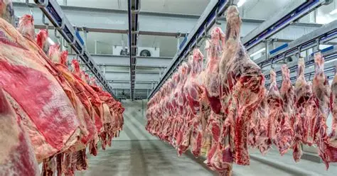 El Gobierno extendió la quita temporal de retenciones también a las carnes bovinas y avícolas