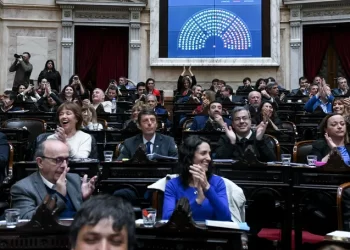 Diputados rechazó los vetos de Milei: Universidades y Garrahan avanzan al Senado
